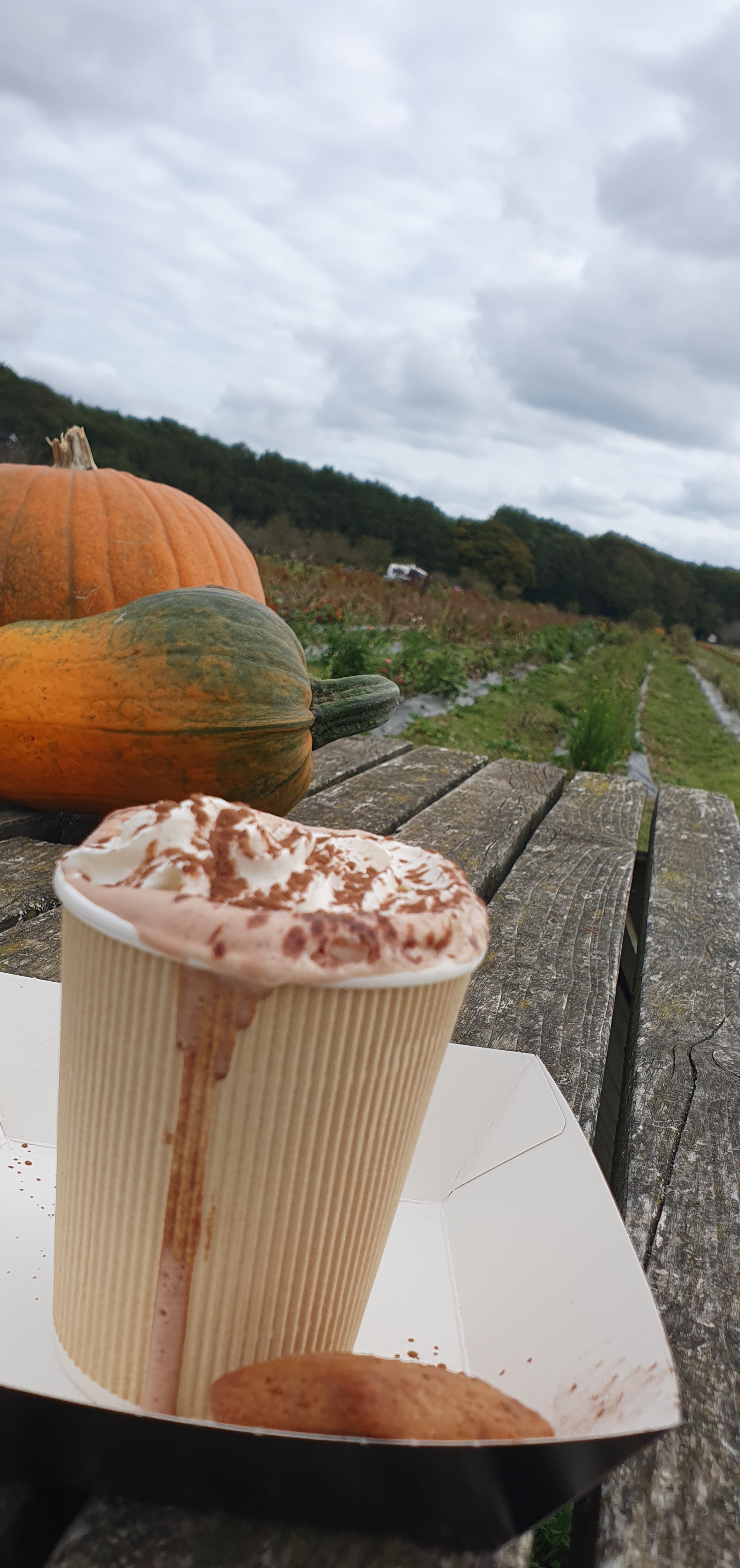 Sopley Pumpkin Spiced Latte